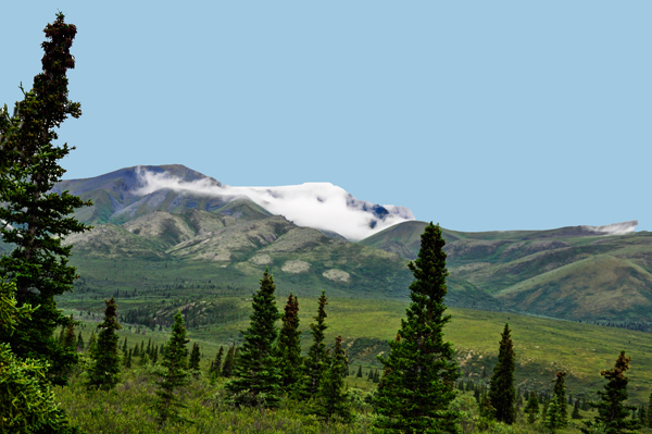 Denali mountain